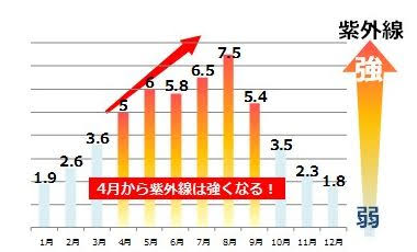 紫外線対策が未来の肌を守る！～日焼け止めの重要性～