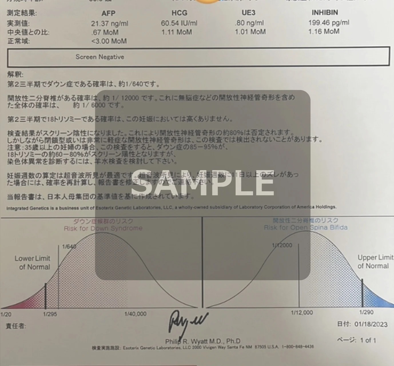 クアトロテスト検査結果の様式